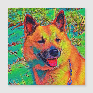 AnimalColor_Dog_014