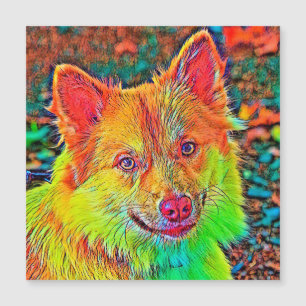 AnimalColor_Dog_020