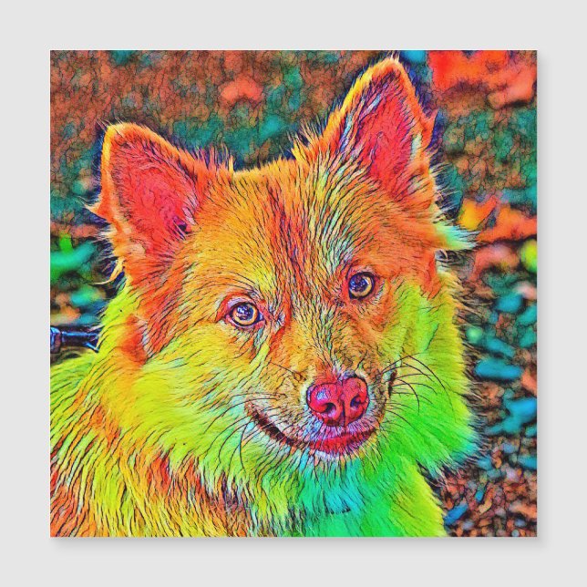 AnimalColor_Dog_020 (Front)