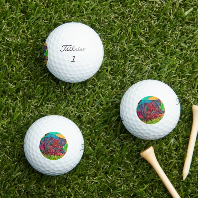 AnimalColor_Dog_026 Golf Balls (Insitu Grass)