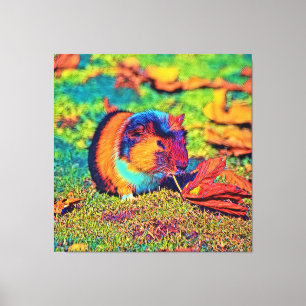 AnimalColor_Guineapig_001 Canvas Print
