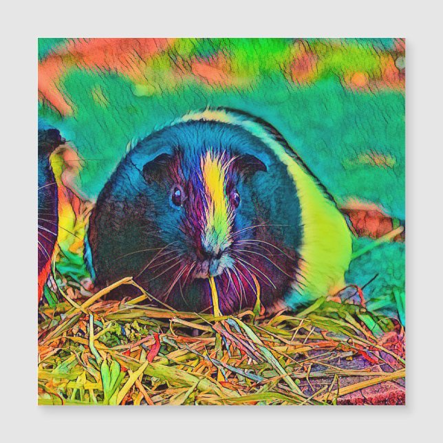 AnimalColor_Guineapig_002 (Front)
