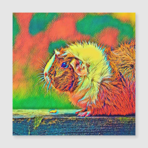 AnimalColor_Guineapig_018