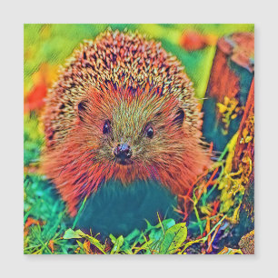 AnimalColor_Hedgehog_002
