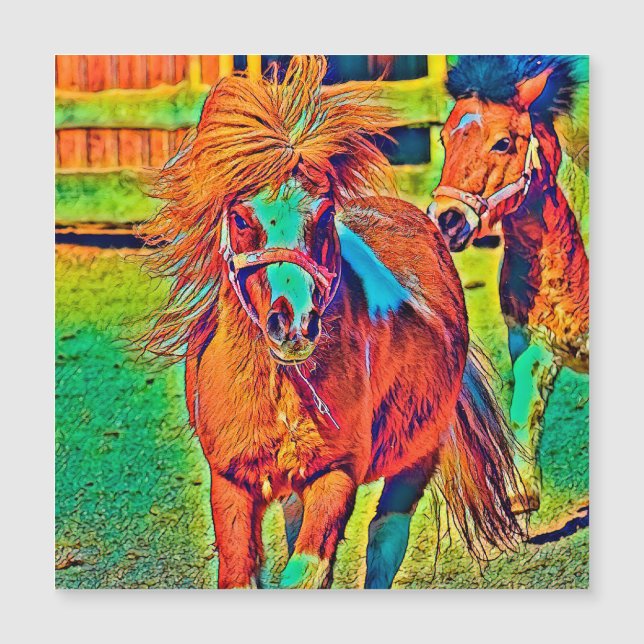 AnimalColor_Horse_001 (Front)