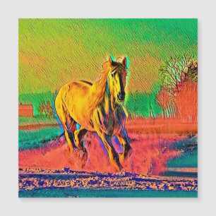 AnimalColor_Horse_003