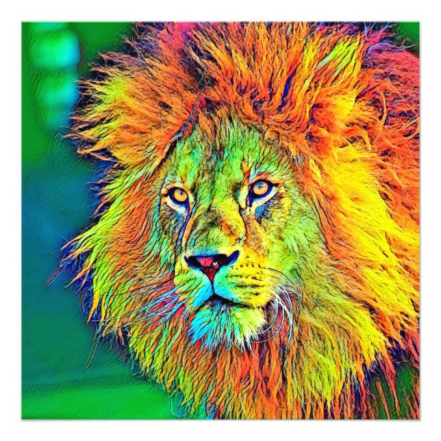 AnimalColor_Lion_009_by_JAMColors Photo Print (Front)