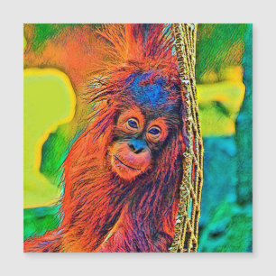 AnimalColor_OrangUtan_001