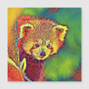 AnimalColor_RedPanda_016