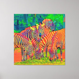 AnimalColor_Zebra_002 Canvas Print