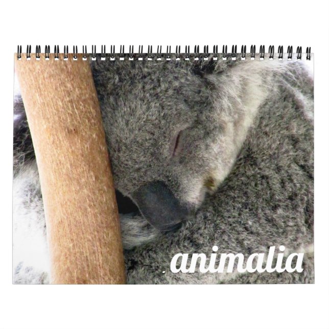 animalia 2026 calendar (Cover)