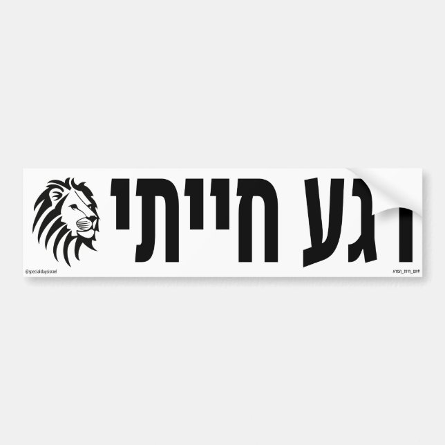 Animalistic Moment Hebrew Bumper Sticker (Front)