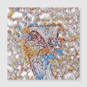 AnimalMix_Bird_042