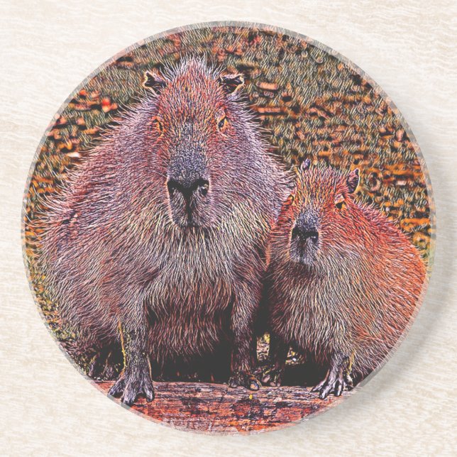 AnimalMix_Capybara_003 Coaster (Front)