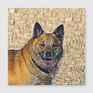 AnimalMix_Dog_004