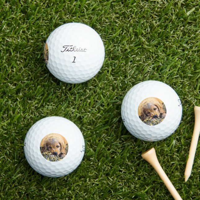 AnimalMix_Dog_005 Golf Balls (Insitu Grass)