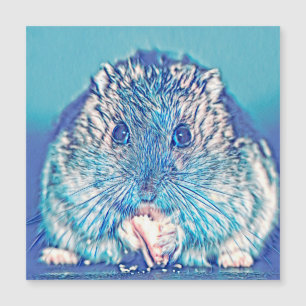 AnimalMix_Hamster_003