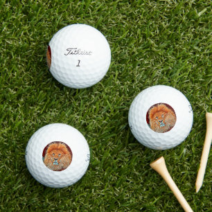 AnimalMix_Lion_009 Golf Balls