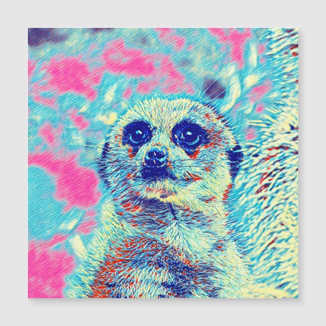 AnimalMix_Meerkat_008 (Front)