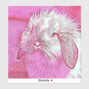 AnimalMix_Rabbit_008