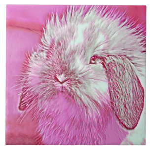 AnimalMix_Rabbit_008 Tile