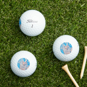 AnimalMix_Sloth_001 Golf Balls