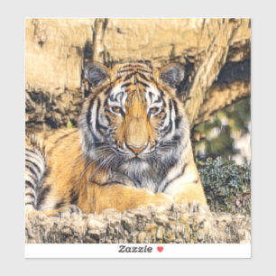AnimalMix_Tiger_009