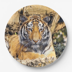 AnimalMix_Tiger_009 Paper Plate