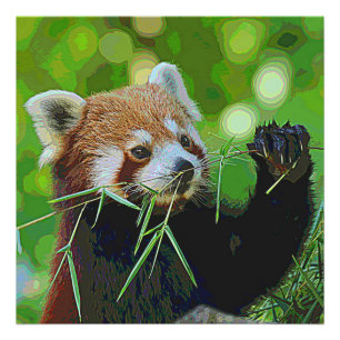 AnimalPaint_RedPanda_20171201_by_JAMColors Photo Print
