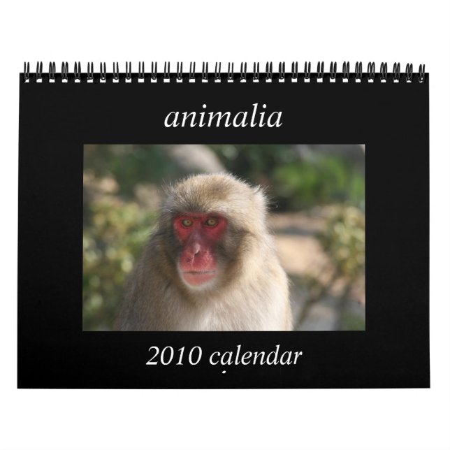 animals 2010 calendar (Cover)