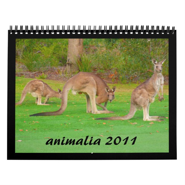 animals 2011 calendar (Cover)