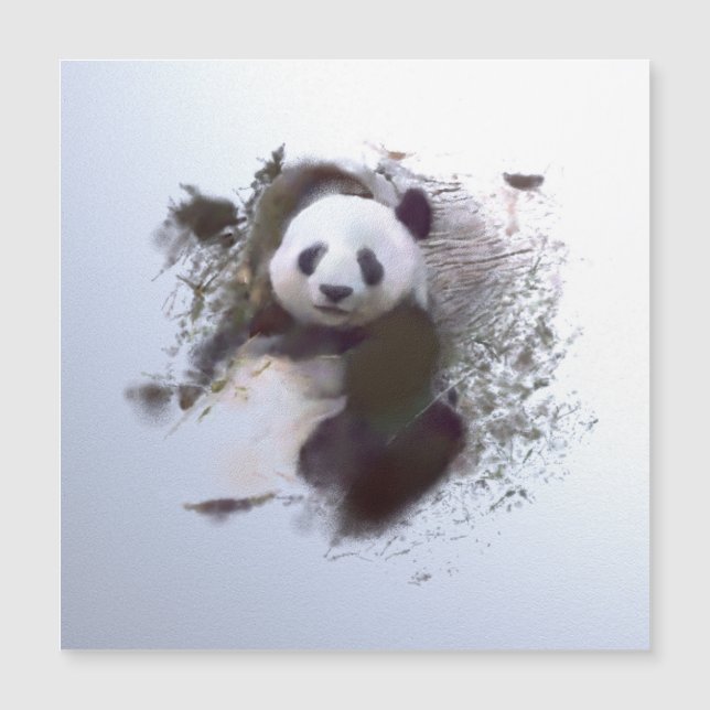 Animals and Art (Front)