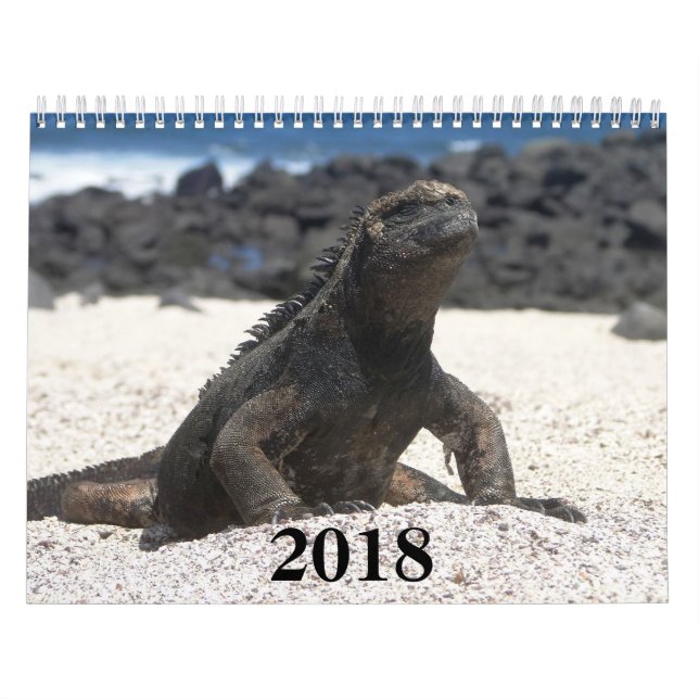 animals and birds of Galapagos Calendar (Cover)