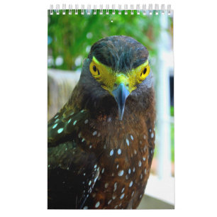 Animals and Pets Calendar