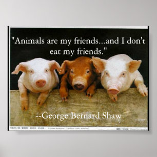 animals are my friends poster