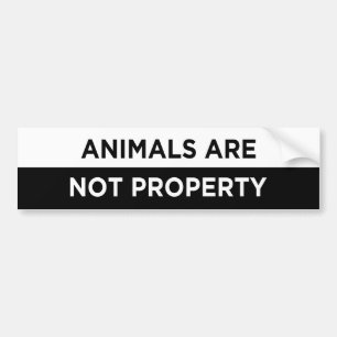 animals are not property vegan bumper sticker