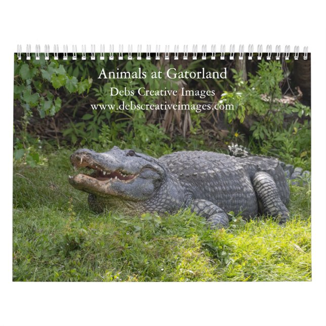 Animals at Gatorland 2026 Calendar (Cover)