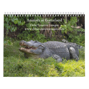 Animals at Gatorland 2026 Calendar