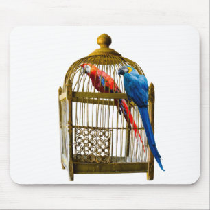 Animals Bird Cat Parrot Cage Locked Freedom Jail Mouse Mat