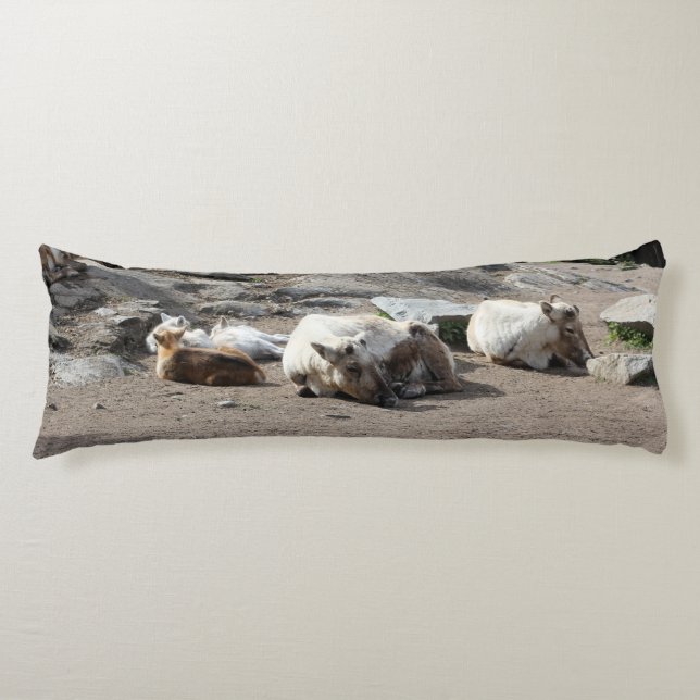Animals Body Cushion (Front)