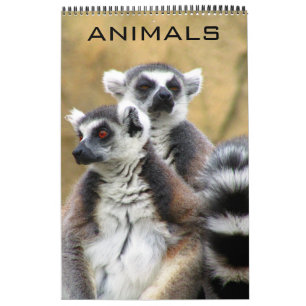 animals calendar