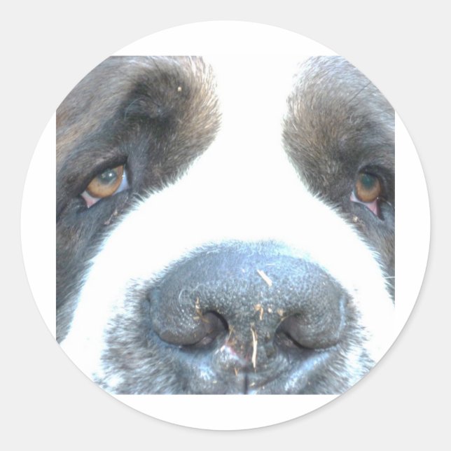 Animals Classic Round Sticker (Front)