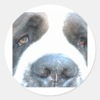 Animals Classic Round Sticker