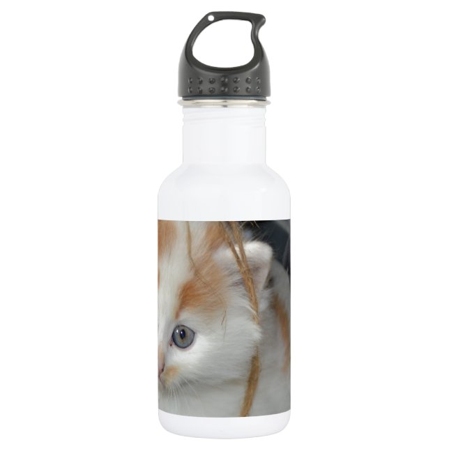 Animals Cute Kitten Kitty Pets Cats 532 Ml Water Bottle (Front)