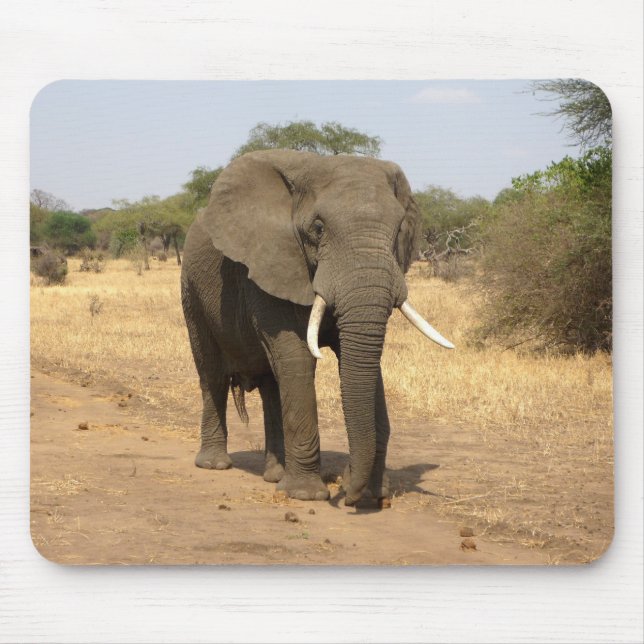 animals, elephants, nature mouse mat (Front)