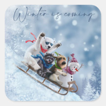 Animals go down the mountain on sleds