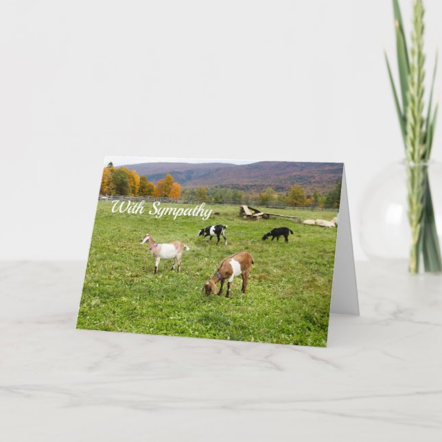 Animals Goats Pasture Vermont Photo Sympathy Card (Front)