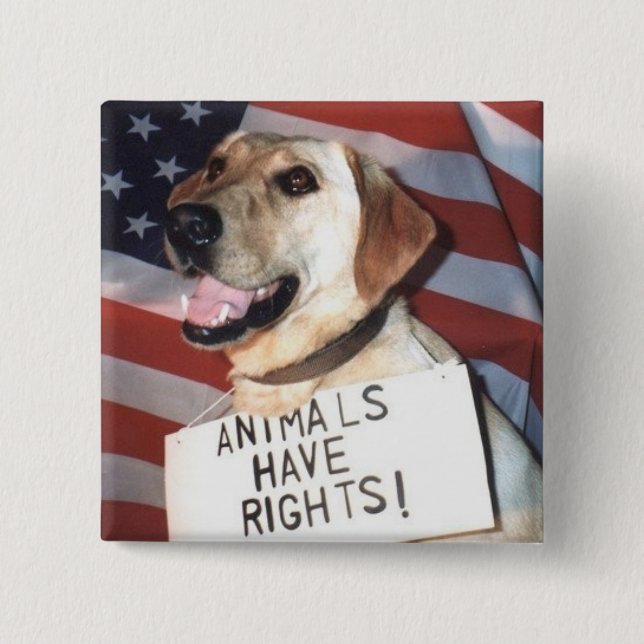 Animals Have Rights 15 Cm Square Badge (Front)