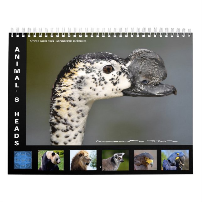 Animal's heads 12 month calendar (Cover)