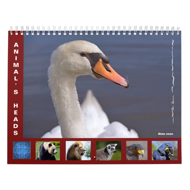 Animal's heads 12 month calendar (Cover)